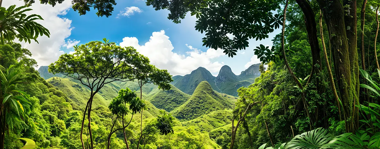 Lost In The Jungle: an 8192 × 4096 equirectangular 360° panorama